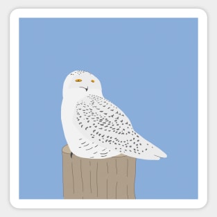 Snowy Owl Sticker